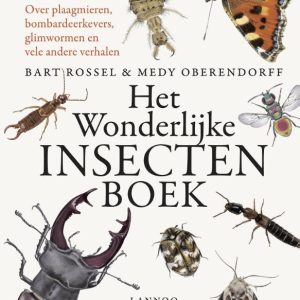 Het wonderlijke insectenboek