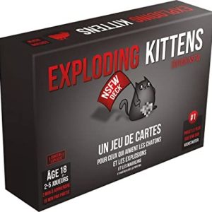 Exploding Kittens – NSFW 18+ (FR versie)