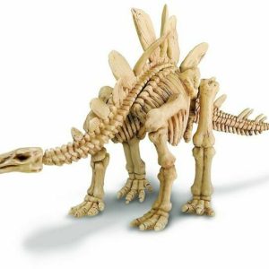 4M KidzLabs Graaf je dinosaurus op (stegosaurus)