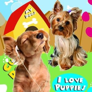 stickers honden A3