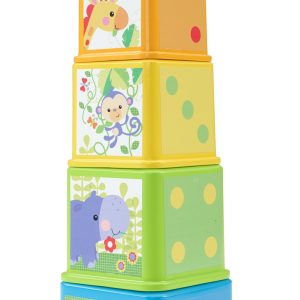 Fisher-Price – Stapel & Ontdek Blokken