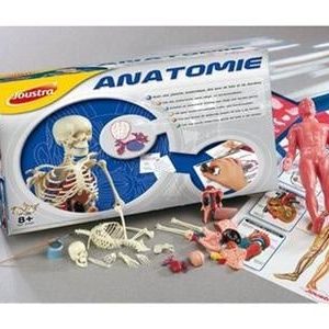 anatomie hobbydoos