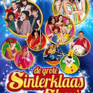Studio100 – De Grote Sinterklaasshow 2015 (DVD)