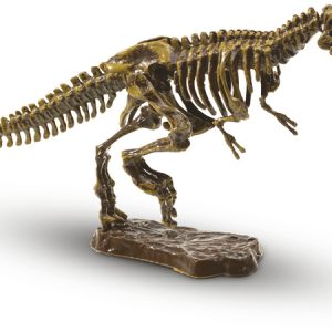 SES Creative Explore – T-rex skelet opgraven