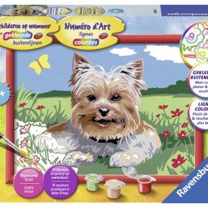 Schilderen op nummer – Kleine Yorkshire Terrier