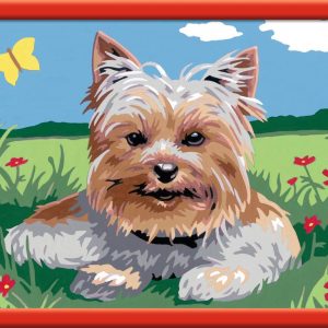 Schilderen op nummer – Kleine Yorkshire Terrier