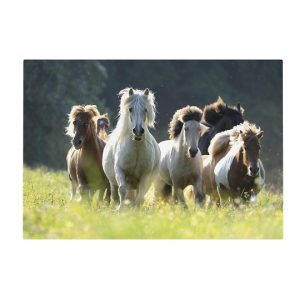 My Favourite Friends – Bureauonderlegger 3D (60x40cm) (paard)