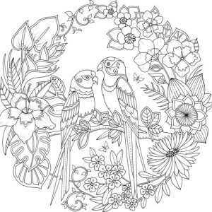 Coloring Canvas 30x30cm – Papegaai