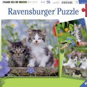 Puzzel (3x49stuks) – Jonge katjes