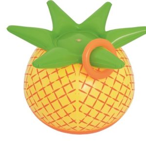 Ananas met sproeifunctie & ringwerpspel