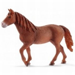 Schleich Morgan merrie