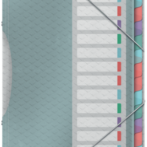 Sorteermap “Colour Ice” PP/A4 met 12 tabbladen – assorti