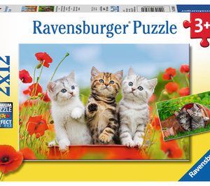 Puzzel (2x12stuks) Katjes op ontdekkingsreis