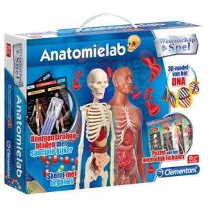 Wetenschap & Spel – Anatomielab