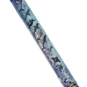 Zeedieren in luxedoos – 12stuks