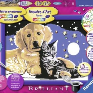 Schilderen op nummer – Schitterende sterrenhemel