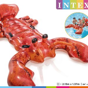 Ride-on (213x137cm) – KREEFT