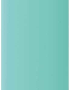 Quokka Stainless Steel Bottle SOLID 630ml – Aquamarine