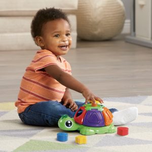 Sorteer & Leer Schildpad