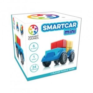 Smart Car Mini