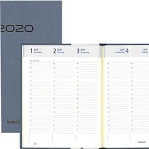 Agenda 2020 (Optivision Large NL NATURE) met weekoverzicht – assorti