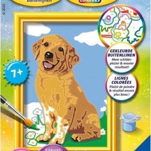 Schilderen op nummer – Lieve puppy