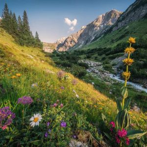 Puzzel (1000stuks) – Tuin van Eden