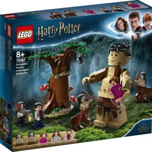 LEGO Harry Potter – Het Verboden Bos Omber’s ontmoeting met Groemp 75967