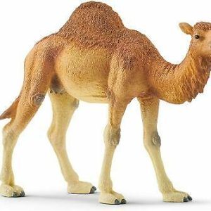 Schleich Wild Life – Dromedaris