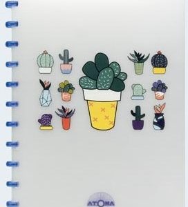 Atoma Schrift PP A4/geruit 4x8mm/72blz – CHILL