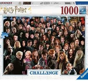 Puzzel (1000stuks) – Harry Potter – Challenge