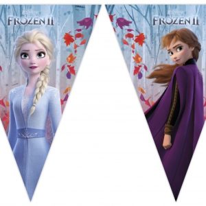 Disney Frozen 2 – Vlaggenlijn 2m