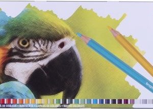 Bruynzeel Kleurpotloden “Papegaai” in metalen box – 45stuks