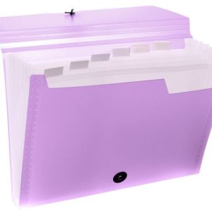 Documentenbox Viquel met elastieksluiting A4/6 vakken – assorti propysoft