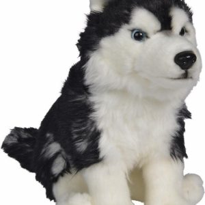 Floppy siberische husky