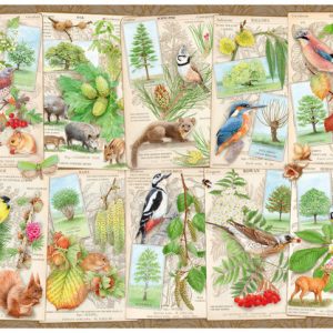 Puzzel 1000 st bijzondere bomen