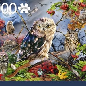 Puzzel (1000stuks) – Premium Collection – Owls In The Moonlight