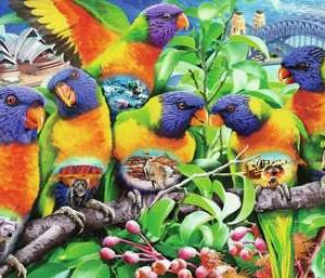 Puzzel (1000stuks) – Land van de Lorikeets