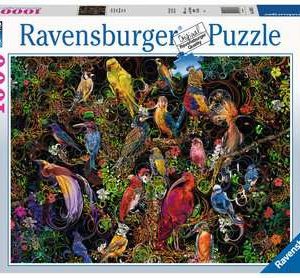 Puzzel (1000stuks) – Birds of Art