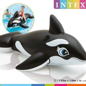 Ride-on (193x119cm) – WHALE