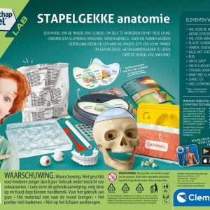 Wetenschap & Spel – Stapelgekke anatomie