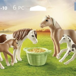 PM Country – 2 Ijslandse pony’s met veulens 71000