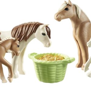 PM Country – 2 Ijslandse pony’s met veulens 71000