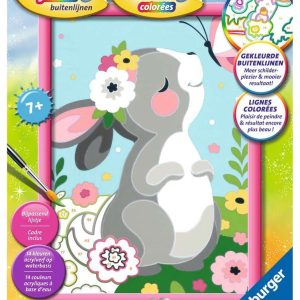 Schilderen op nummer – Konijntje met vlinder