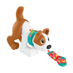 Fisher-Price 123 – Kruip met mij Puppy