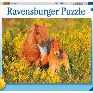 Puzzel (XXL) 100stuks – Shetland pony’s