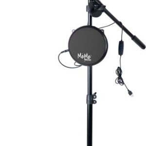 Stage Microphone Lee