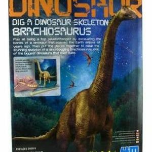graaf je dino, brachiosaurus