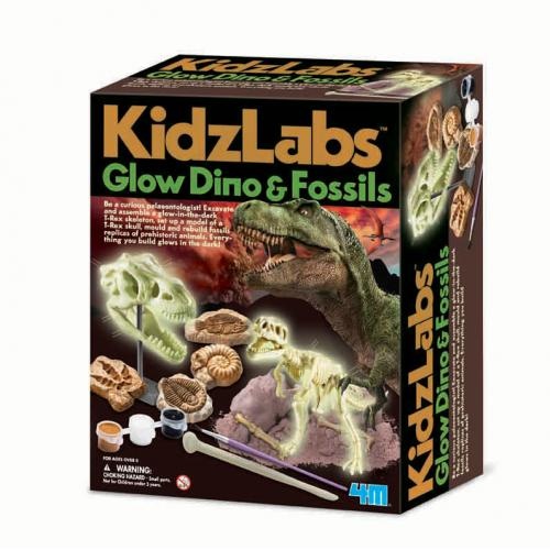 combo pack : glow dinos & fossielen