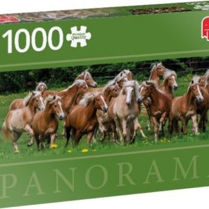 Puzzel (1000stuks) – Premium Collection Panorama – Haflinger Horses